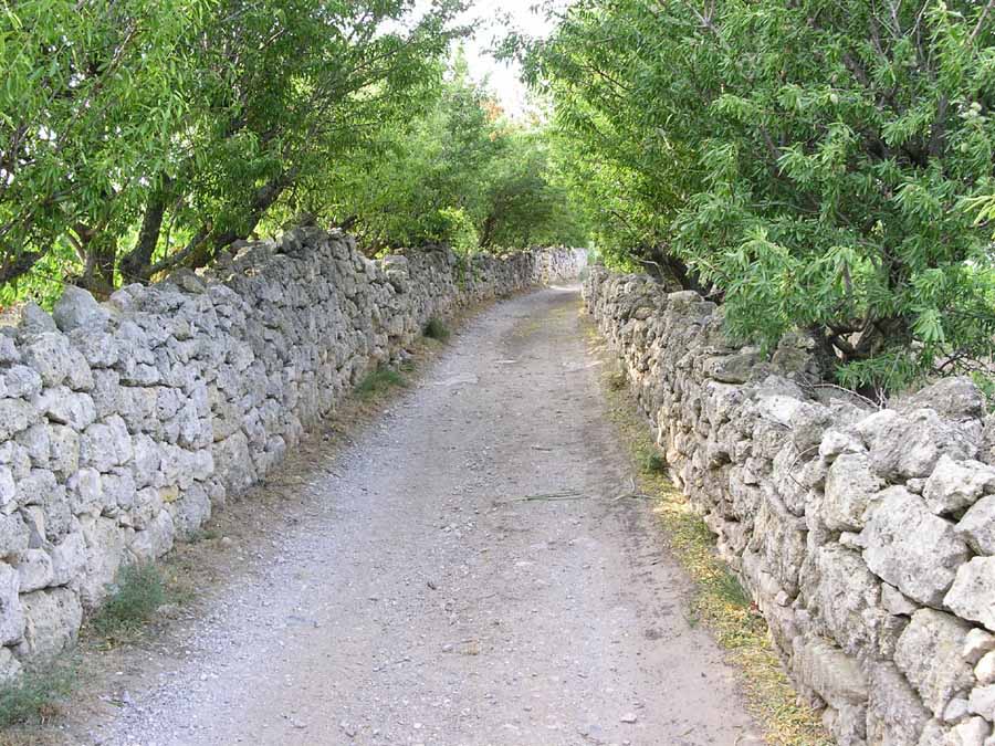 Sur la falaise du côté de "La Sourre"